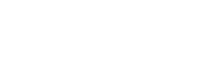 Cognidox