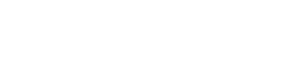 FLAGS Software